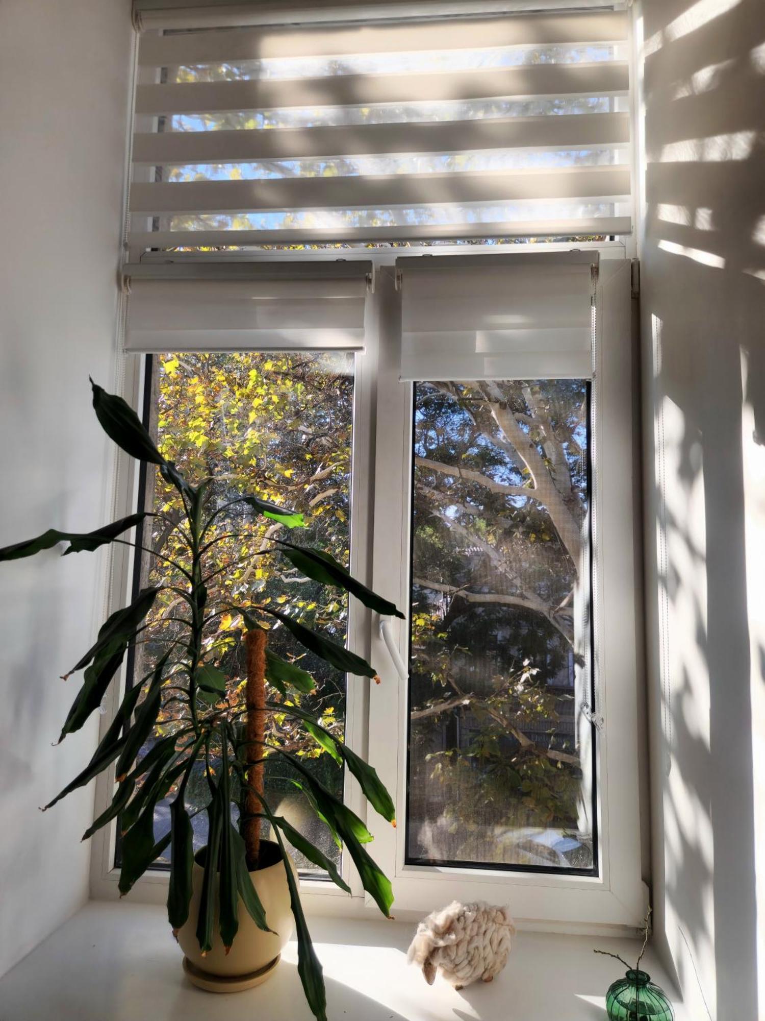 Scandi Group Apartaments Odesa Room photo